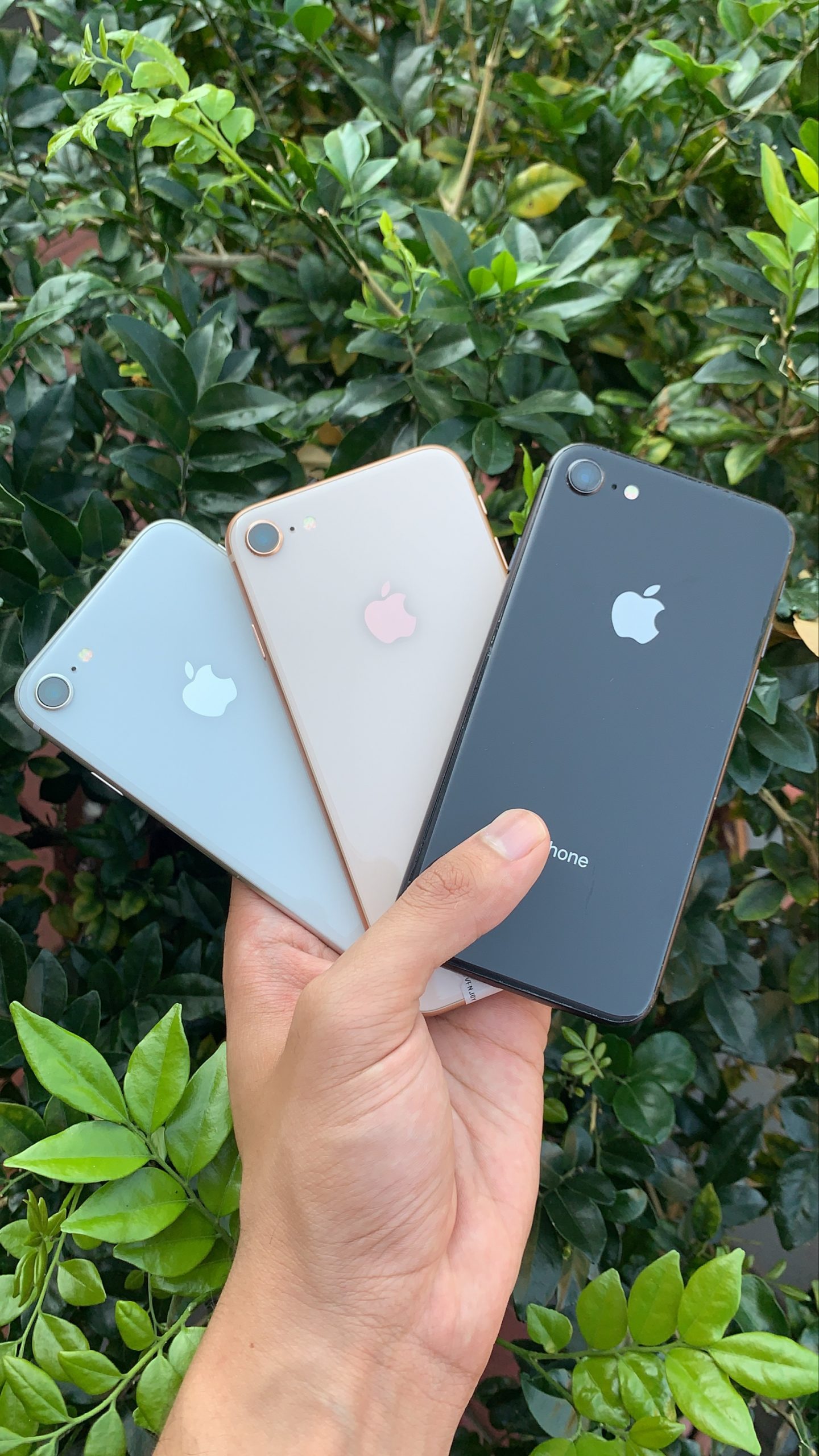 Student Special – iPhone 8 64GB Assorted Colours (CPO) – Apple Guy