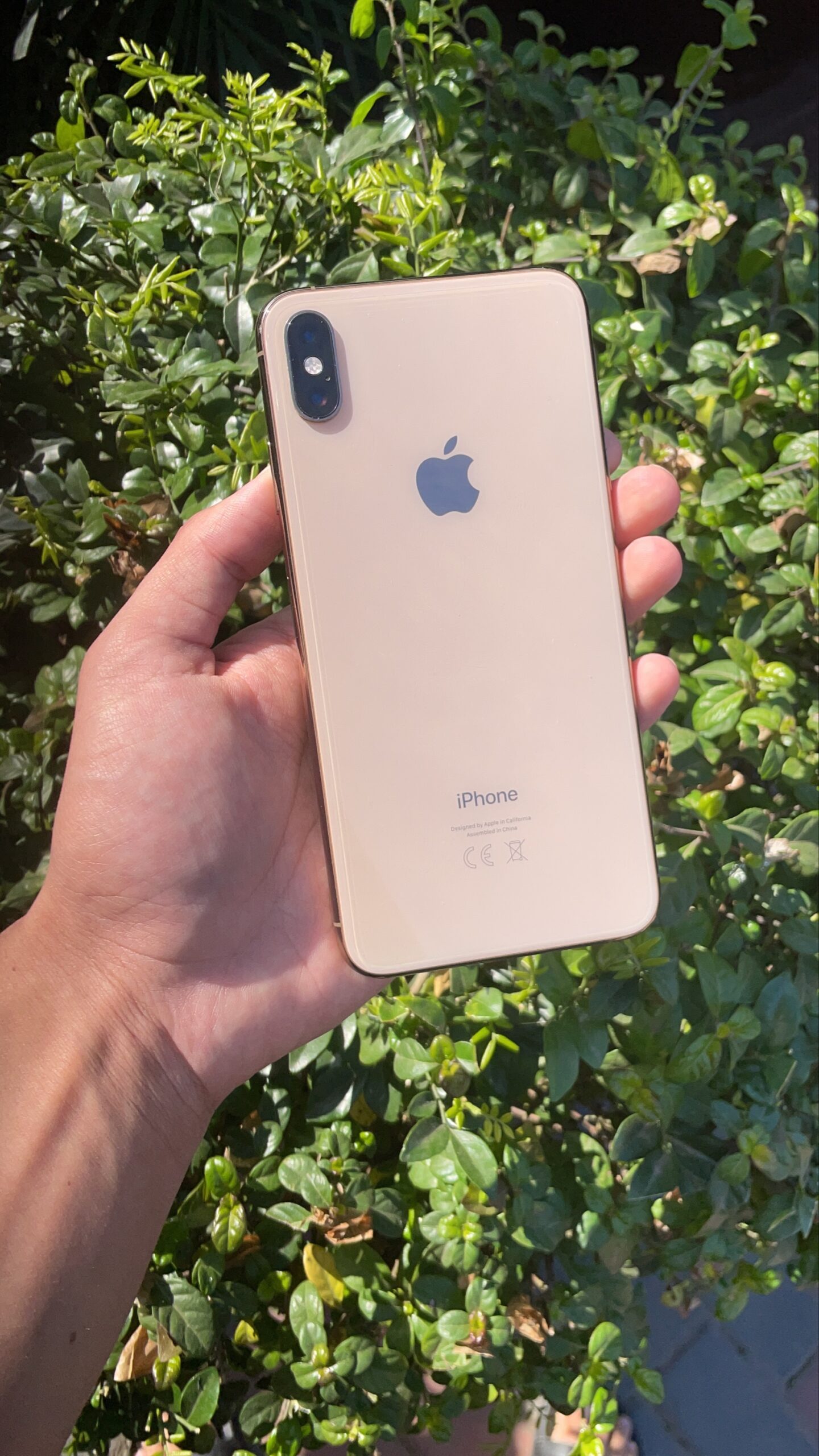 Iphone Xs Max 64gb Gold Apple Guy