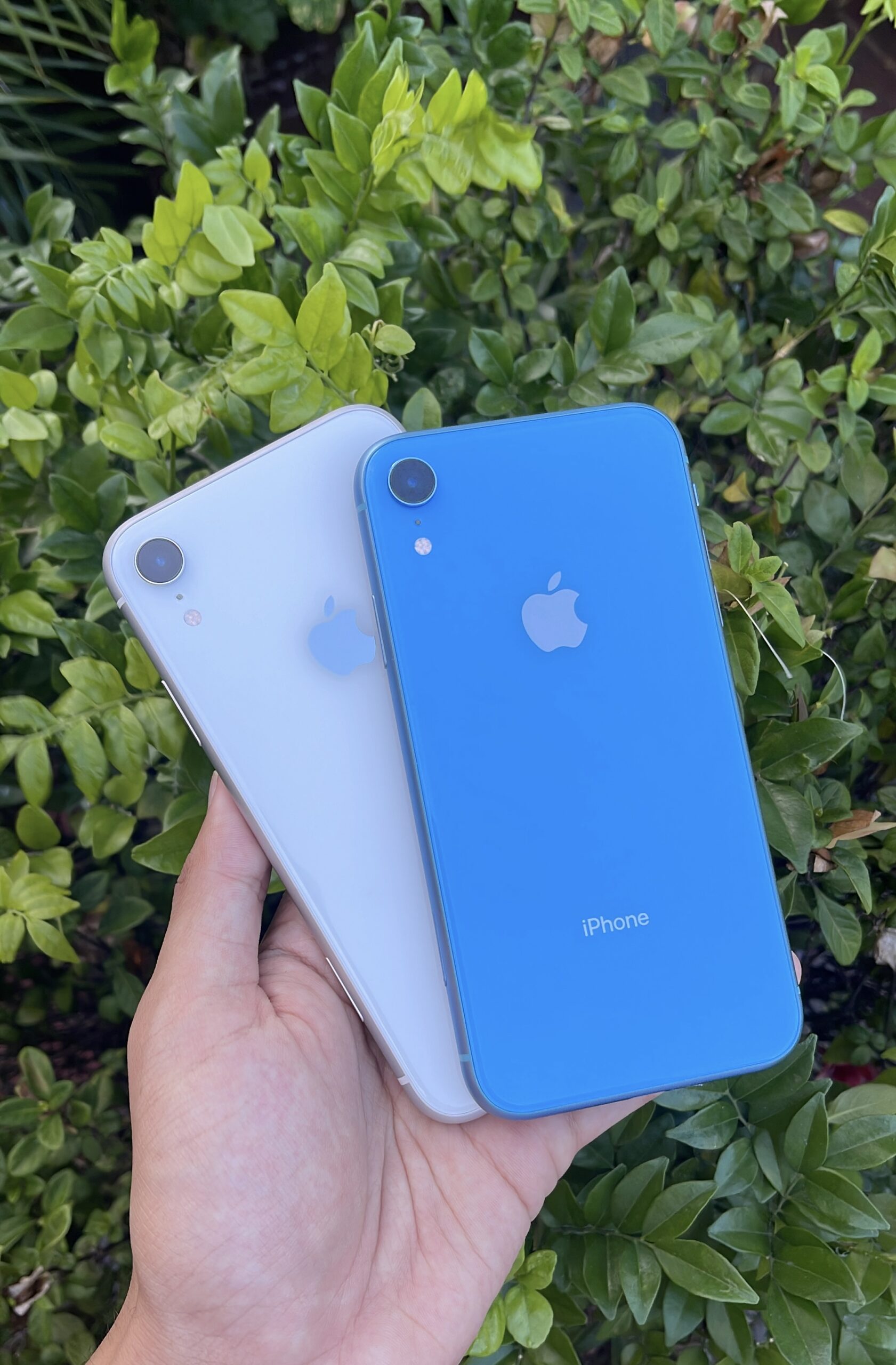 Student Special – iPhone XR 128GB Assorted Colours (CPO) – Apple Guy