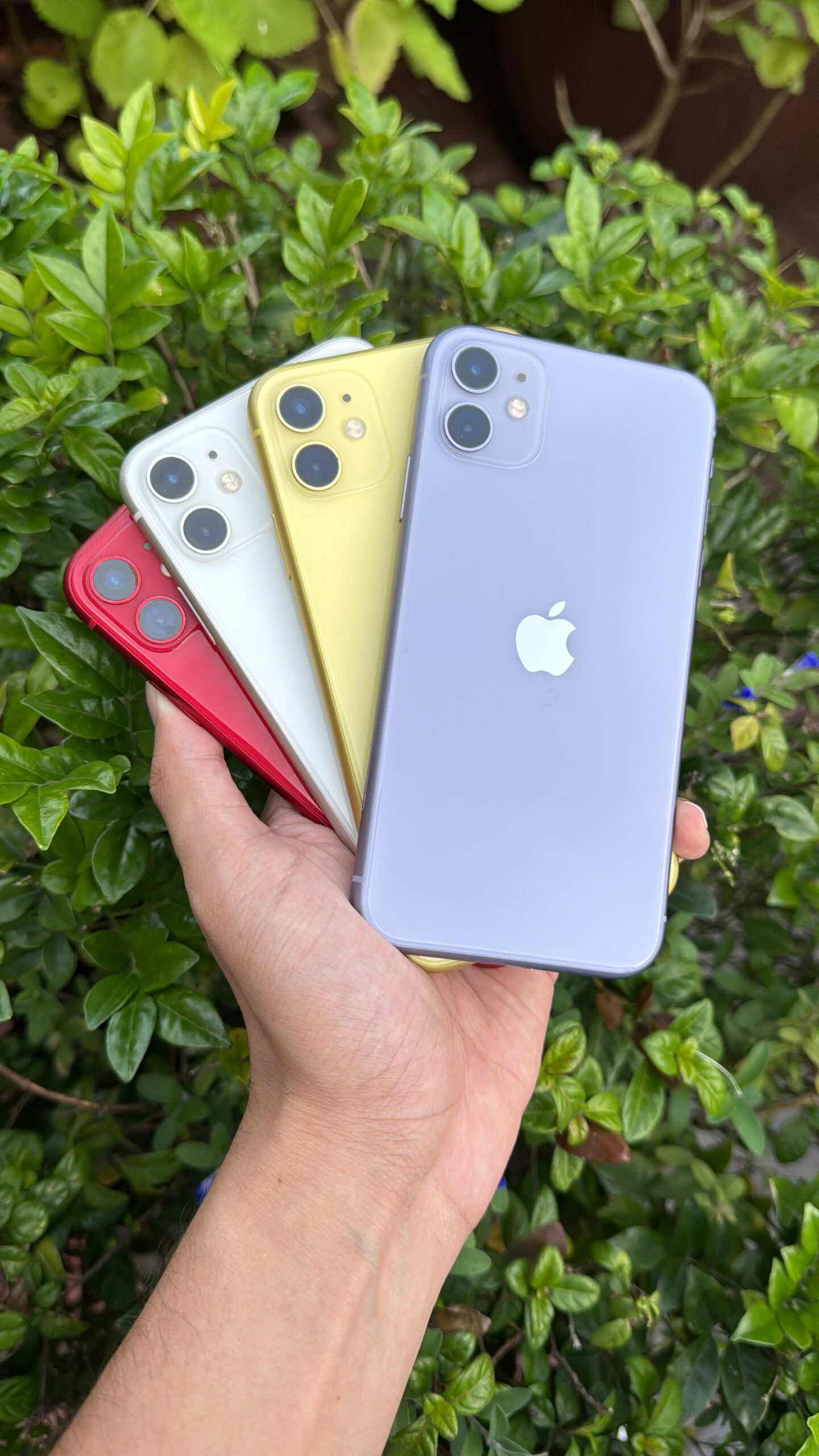 Winter Deal: iPhone 11 128GB Assorted Colours (CPO)